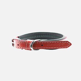 Zampa 35 cm Kırmızı Köpek Boyun Tasması