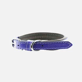 Zampa 35 cm Mor Köpek Boyun Tasması