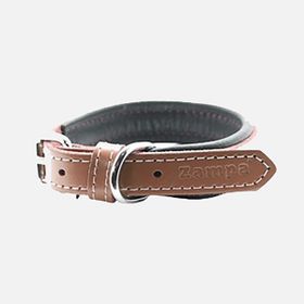 Zampa 47 cm Kahverengi Köpek Boyun Tasması