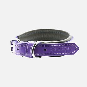Zampa 47 cm Mor Köpek Boyun Tasması