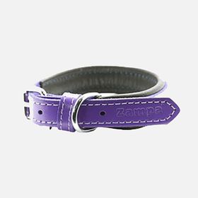 Zampa 47 cm Mor Köpek Boyun Tasması