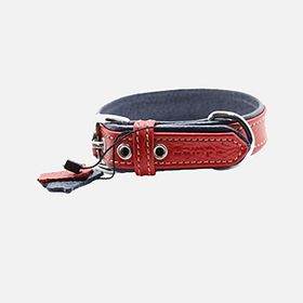 Zampa 54 cm Flotter M Köpek Boyun Tasması