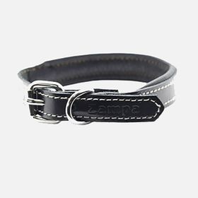 Zampa 54 cm Siyah Köpek Boyun Tasması