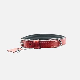 Zampa Classic 42 cm Kırmızı Köpek Boyun Tasması