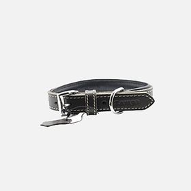 Zampa Classic 42 cm Siyah Köpek Boyun Tasması