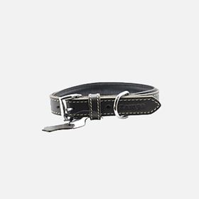 Zampa Classic 42 cm Siyah Köpek Boyun Tasması