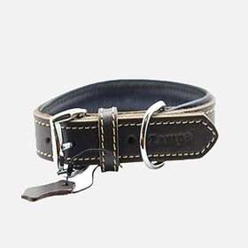 Zampa Classic 54 cm Kahverengi Köpek Boyun Tasması