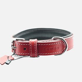 Zampa Classic 54 cm Kırmızı Köpek Boyun Tasması