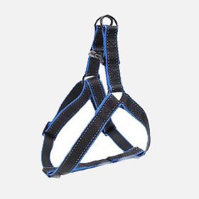 Zampa Flora 40 cm Köpek Göğüs Tasması