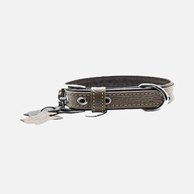 Zampa Flotter 47 cm Kahverengi Köpek Boyun Tasması