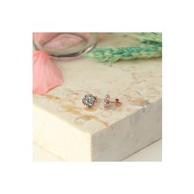 Zanaatsilver 925 Ayar Gümüş Mix Taşlı Rose Kaplama Yuvarlak Büyük Model Küpe