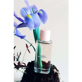 Zara Cherry Watermelon Ice EDT 40 ml Çocuk Parfüm