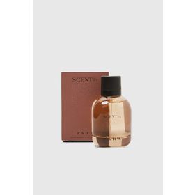 Zara Scent EDT 100 ml Erkek Parfümü