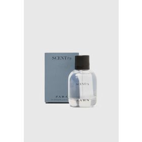 Zara Scent EDT 100 ml Erkek Parfümü