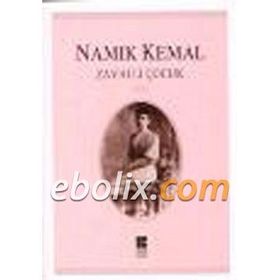 ZAVALLI ÇOCUK - NAMIK KEMAL (ISBN:9789756231845)