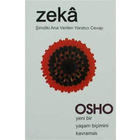 ZEKÂ ŞİMDİKİ ANA VERILEN YARATICI CEVAP - OSHO (BHAGMAN SHREE RAJNEESH)