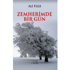 Zemherimde Bir Gün - Ali Filiz