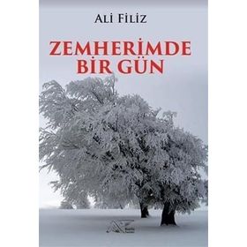 Zemherimde Bir Gün - Ali Filiz