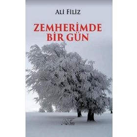 Zemherimde Bir Gün - Ali Filiz