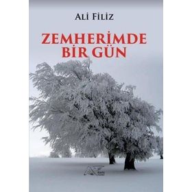 Zemherimde Bir Gün - Ali Filiz