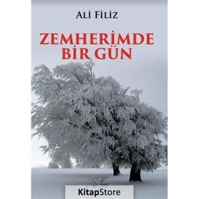 Zemherimde Bir Gün - Ali Filiz