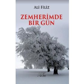 Zemherimde Bir Gün - Ali Filiz
