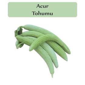 Zencefil Organik 10 gr 300 Adet Acur Tohumu