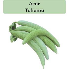 Zencefil Organik 10 gr 300 Adet Acur Tohumu