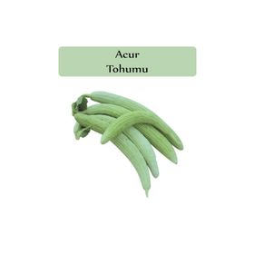 Zencefil Organik 10 gr 300 Adet Acur Tohumu