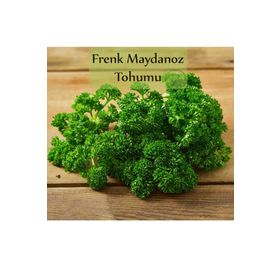Zencefil Organik 10 gr Kıvırcık Frenk Maydanoz Tohumu