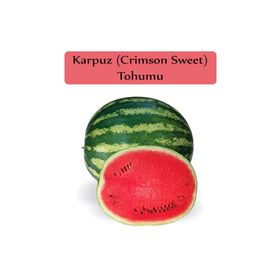 Zencefil Organik 10x100 Adet Crimson Sweet Karpuz Tohumu