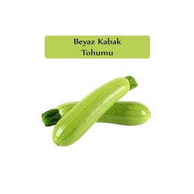 Zencefil Organik 10x100 Adet Sakız Kabak Tohumu
