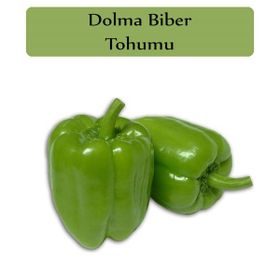 Zencefil Organik 10x1000 Adet Kandil Dolma Biberi Tohumu