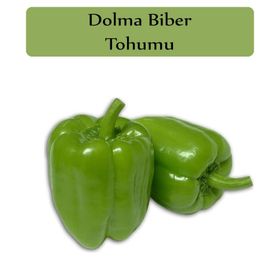 Zencefil Organik 10x1000 Adet Kandil Dolma Biberi Tohumu