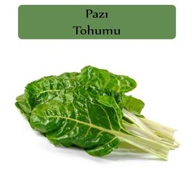 Zencefil Organik 10x1000 Adet Pazı Tohumu