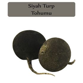 Zencefil Organik 10x1000 Adet Siyah Turp Tohumu