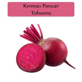 Zencefil Organik 10x450 Adet Pancar Tohumu