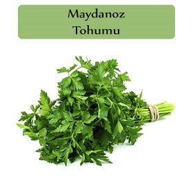 Zencefil Organik 10x5000 Adet Maydanoz Tohumu