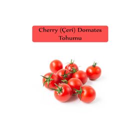 Zencefil Organik 1x250 Adet Cherry Domates Salkım Domates Tohumu