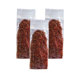 Zencefil Organik 3 Paket Aspir Çiçeği