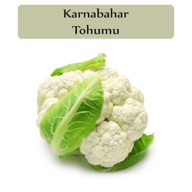 Zencefil Organik 3x1000 Adet Karnabahar Tohumu