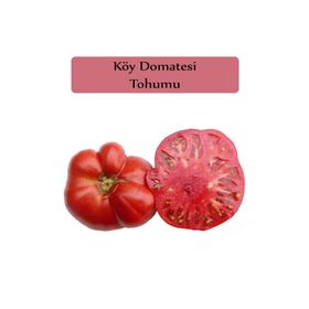 Zencefil Organik 3x850 Adet Domates Tohumu