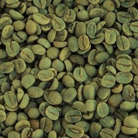 Zencefil Organik 500 gr Kavrulmamış Çiğ Çekirdek Yeşil Kahve