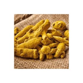 Zencefil Organik 500 gr Kök Zerdeçal