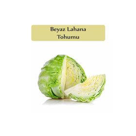 Zencefil Organik 5x1000 Adet Lahana Tohumu