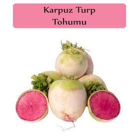 Zencefil Organik 5x500 Adet Karpuz Turp Tohumu