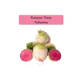 Zencefil Organik 5x500 Adet Karpuz Turp Tohumu