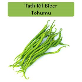 Zencefil Organik 5x700 Adet Tatlı Biber Tohumu