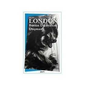 Zeplin Kitap Bütün Dünyanın Düşmanı