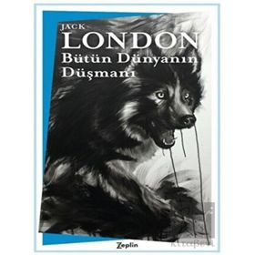 Zeplin Kitap Bütün Dünyanın Düşmanı